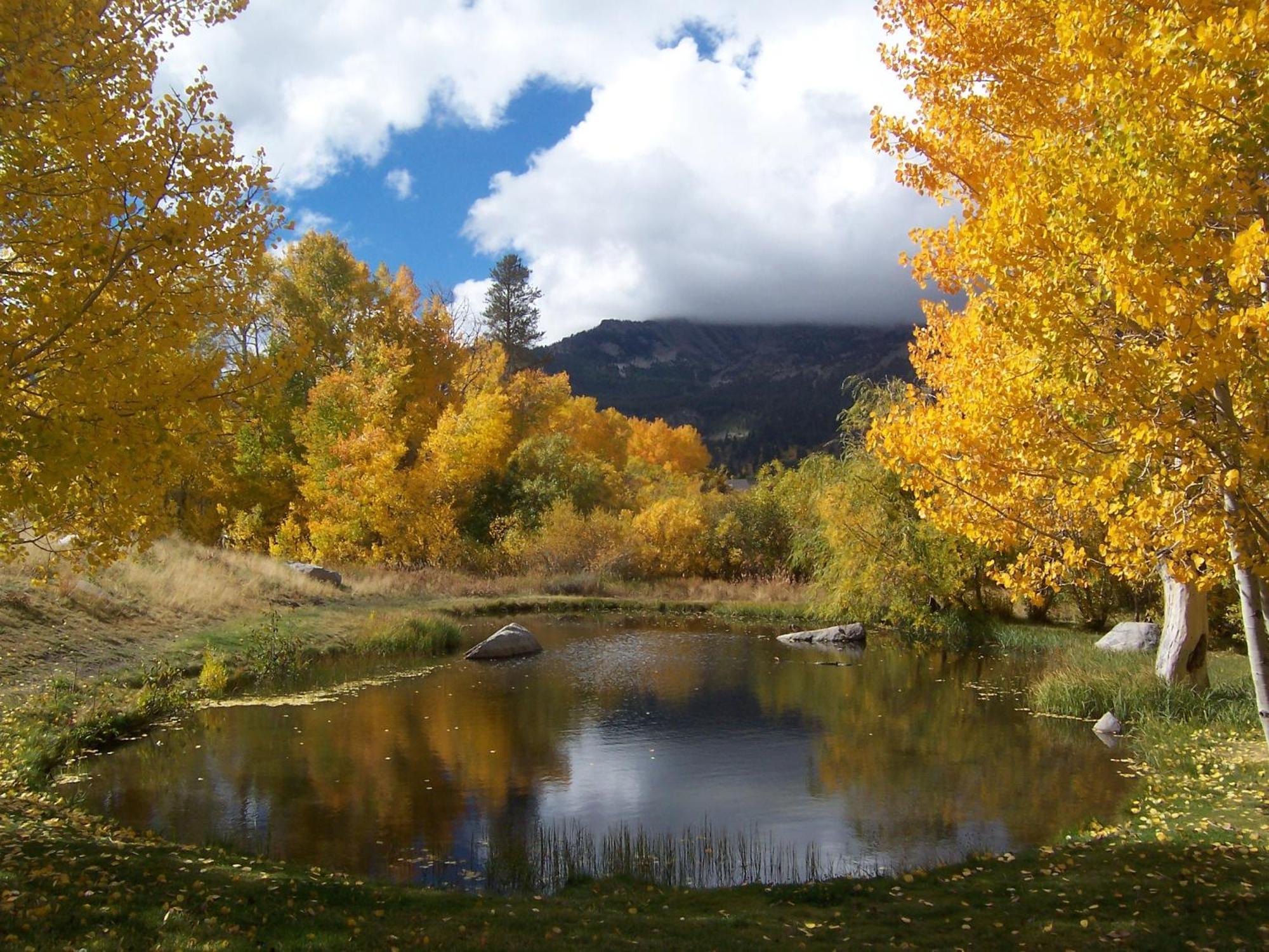 Snowcreek Resort Vacation Rentals แมมมอธ เลกส์ ภายนอก รูปภาพ